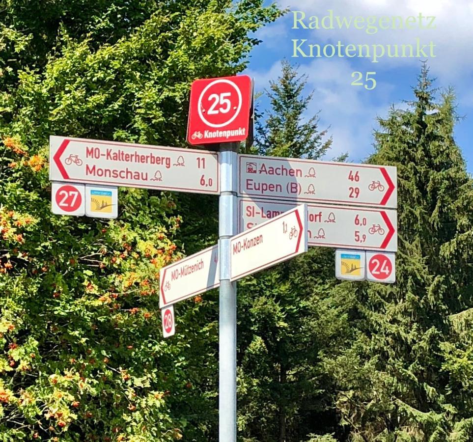 Hof Vierzehnender Im Hohen Venn - 70Qm Maisonette - 2 Schlafzimmer - Wohnkueche - Balkon Mit Grill - Monschau - Eifel - Hunde Willkommen - Islandpferde Extérieur photo