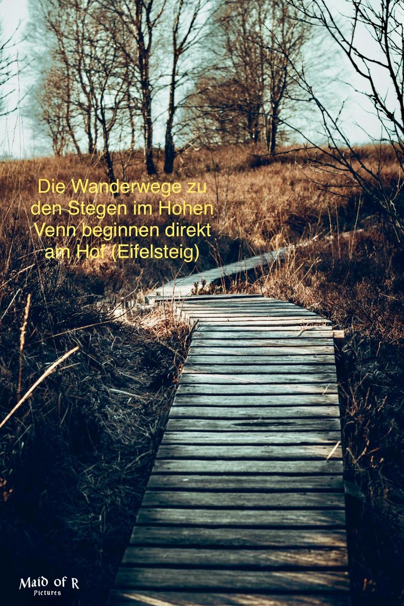 Hof Vierzehnender Im Hohen Venn - 70Qm Maisonette - 2 Schlafzimmer - Wohnkueche - Balkon Mit Grill - Monschau - Eifel - Hunde Willkommen - Islandpferde Extérieur photo