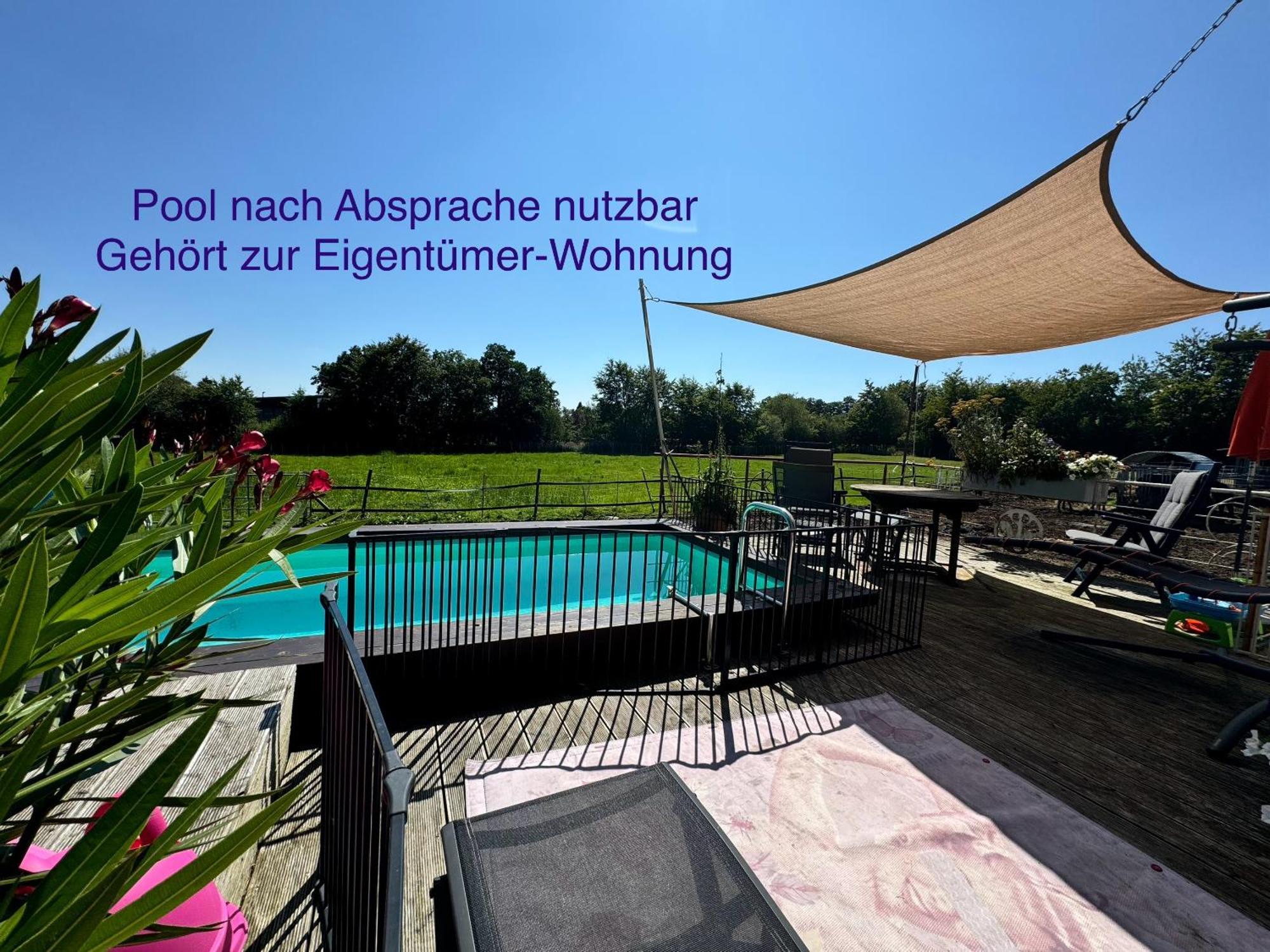 Hof Vierzehnender Im Hohen Venn - 70Qm Maisonette - 2 Schlafzimmer - Wohnkueche - Balkon Mit Grill - Monschau - Eifel - Hunde Willkommen - Islandpferde Extérieur photo