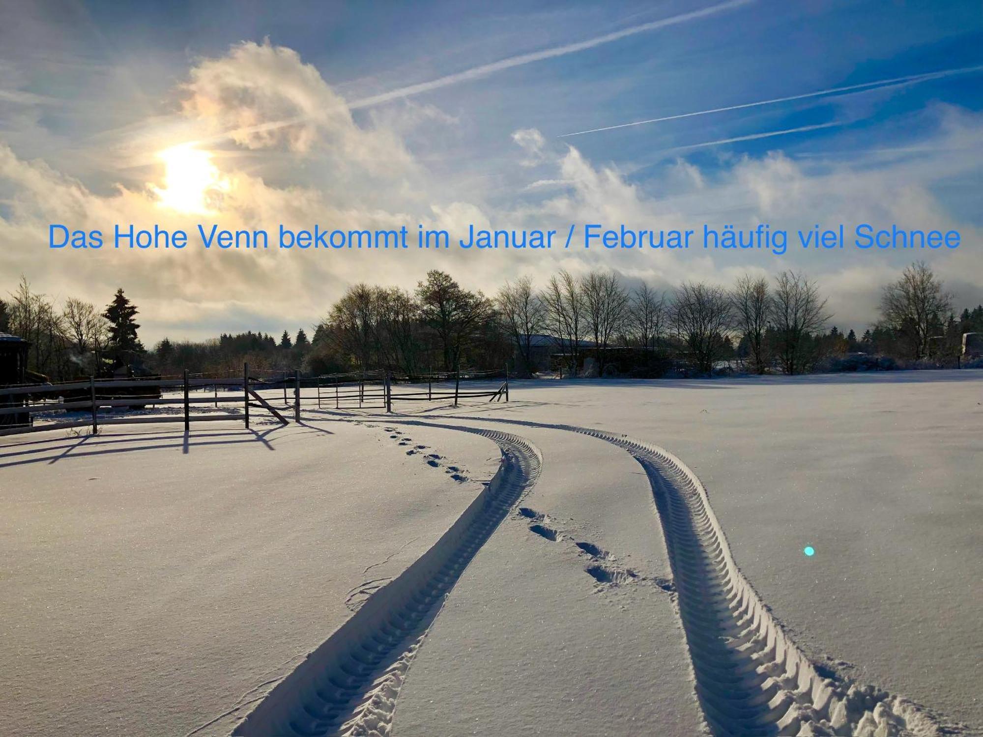 Hof Vierzehnender Im Hohen Venn - 70Qm Maisonette - 2 Schlafzimmer - Wohnkueche - Balkon Mit Grill - Monschau - Eifel - Hunde Willkommen - Islandpferde Extérieur photo